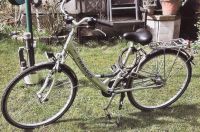 Damenrad Citybike Pegasus 28 Zoll 5-Gang Köln - Nippes Vorschau