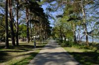 AB SOFORT, FERIENWOHNUNG MIT GARTEN, HUND, DICHT AM STRAND Mecklenburg-Vorpommern - Lubmin Vorschau