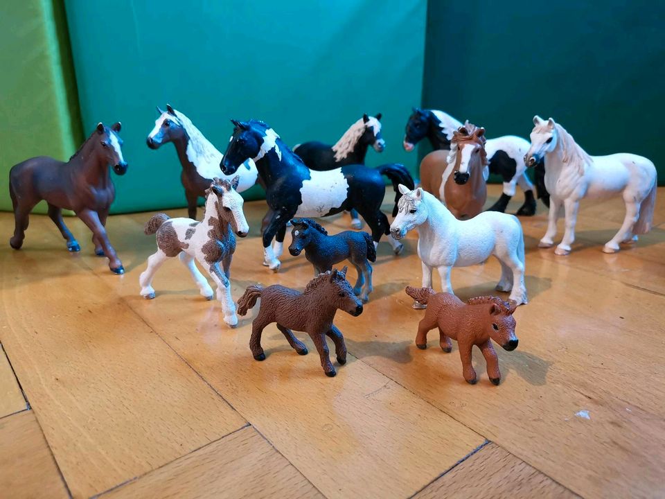 Pferde Schleich in Molschleben