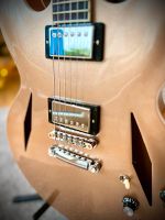 Gibson DG 335 Dave Grohl 2014 Metallic gold Frankfurt am Main - Nordend Vorschau