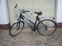 Kalkhoff Blackwood Damen Fahrrad  28 Zoll Niedersachsen - Rinteln Vorschau