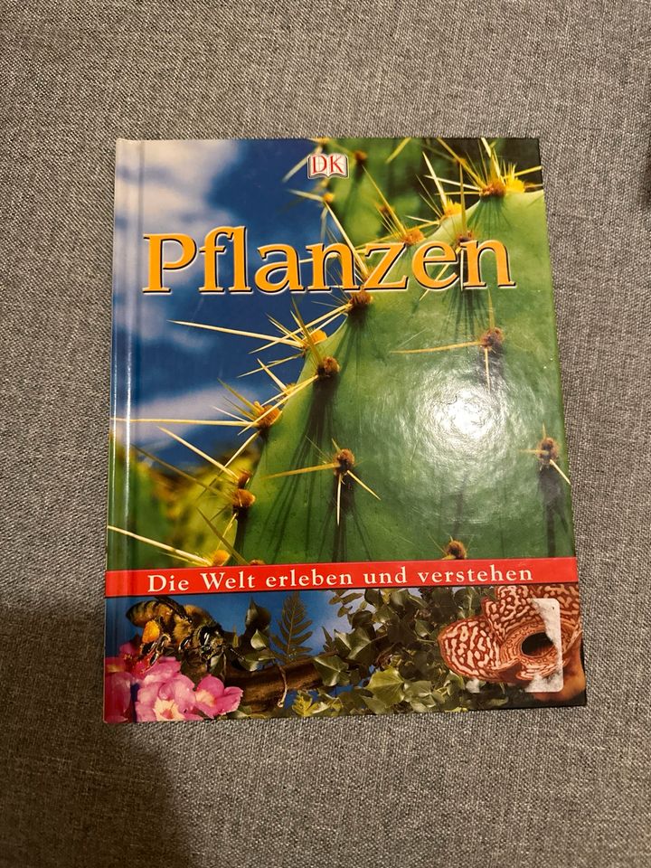 Pflanzen DK in Mönchengladbach