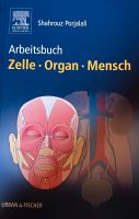 Arbeitsbuch Zelle Organ Mensch Bayern - Biessenhofen Vorschau