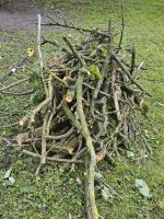 Baumschnitt, Äste als Brennholz / Feuerholz an Selbstabholer Nordrhein-Westfalen - Neuss Vorschau