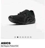 Asics Gel-Kayano Trainer Knit 48 Neu, OVP, ungetragen Leipzig - Leipzig, Zentrum Vorschau