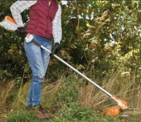 Garten reinigung Bodenstein-Teppischreinugung Niedersachsen - Delmenhorst Vorschau