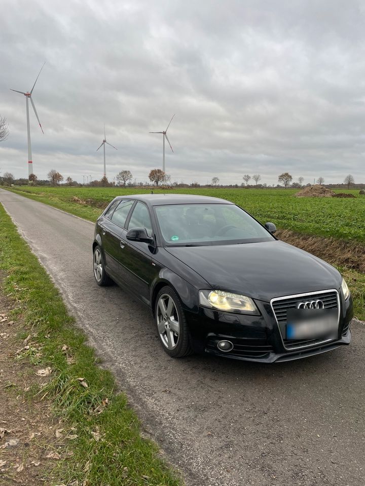 Audi a3 8p 2.0tdi Bi-Xenon usw tüv neu in Esterwegen