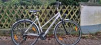 Trekkingrad 28 Zoll Pegasus milano GT Nordrhein-Westfalen - Erkrath Vorschau