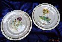 2 VINTAGE KERAMIK WANDTELLER HANDBEMALT BLUMEN - UNBENUTZT Erlenbach am Main  - Mechenhard Vorschau