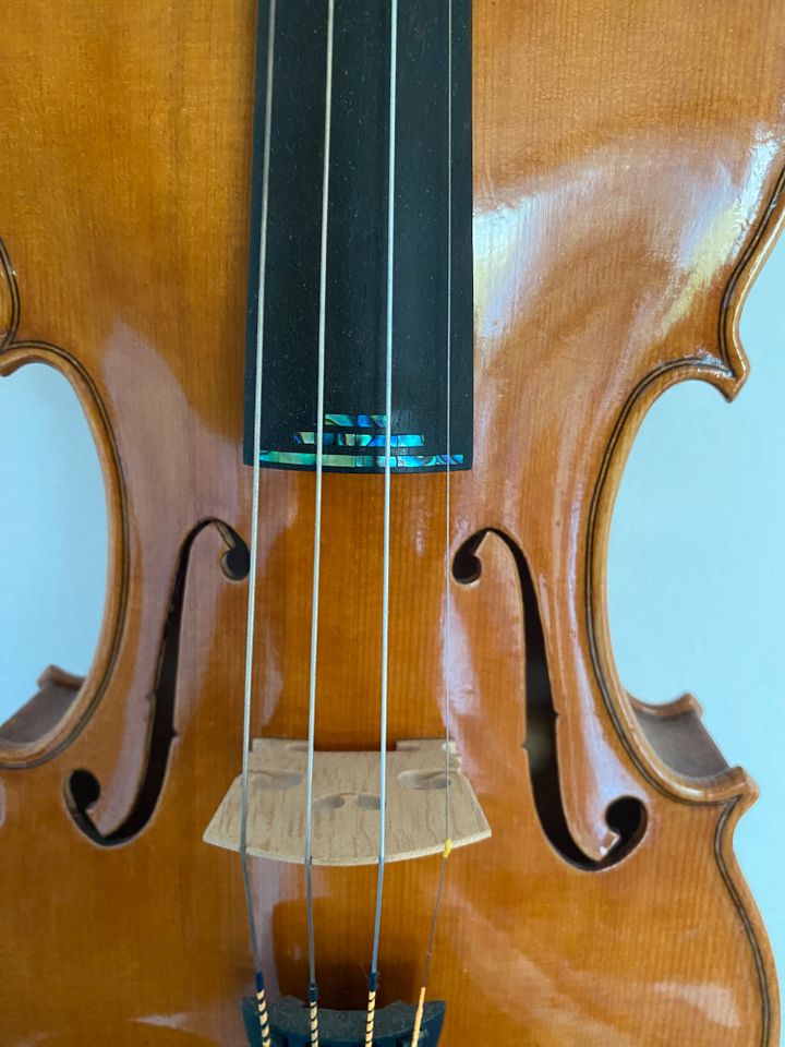 Geige,   Violine 4/4 Aus Workshop Gyb Violins, in Olsberg