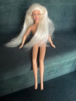 Barbie aus den 90ern Nordrhein-Westfalen - Tecklenburg Vorschau