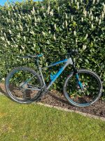 Cube Fahrrad Mountain Bike MTB 29“ Reaction SL C:62 Carbon Bayern - Schweinfurt Vorschau