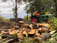 Brennholz Kaminholz Feuerholz Scheitholz aus deutschem Wald Niedersachsen - Cuxhaven Vorschau