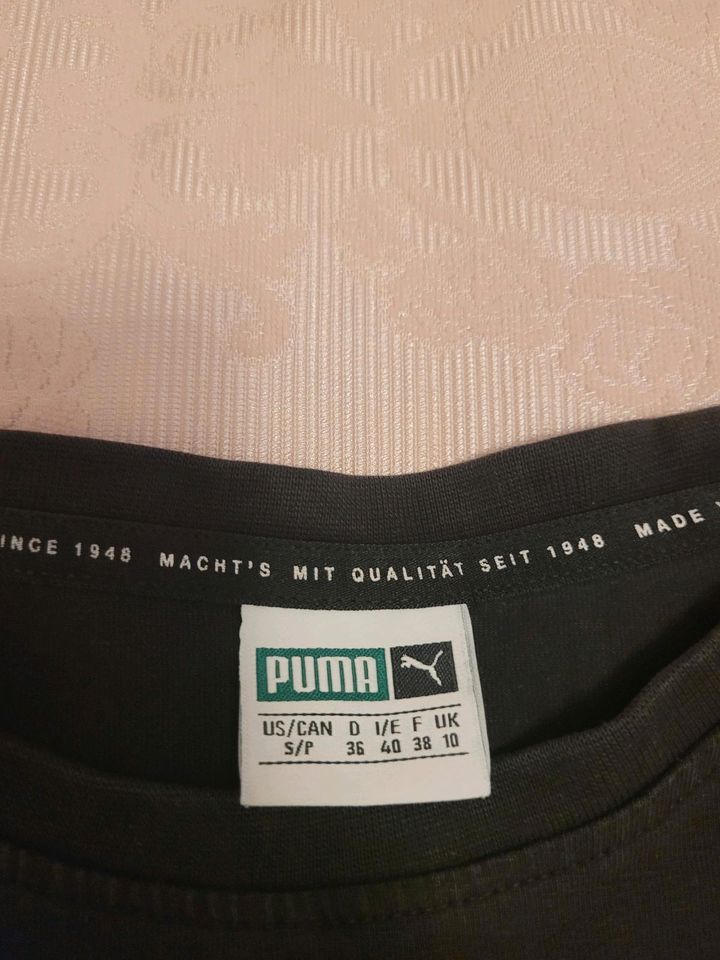 Shirt von Puma in Flensburg