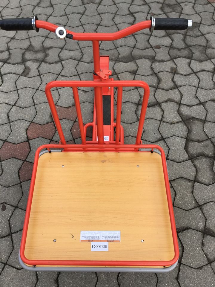 Lastenscooter in Seebach