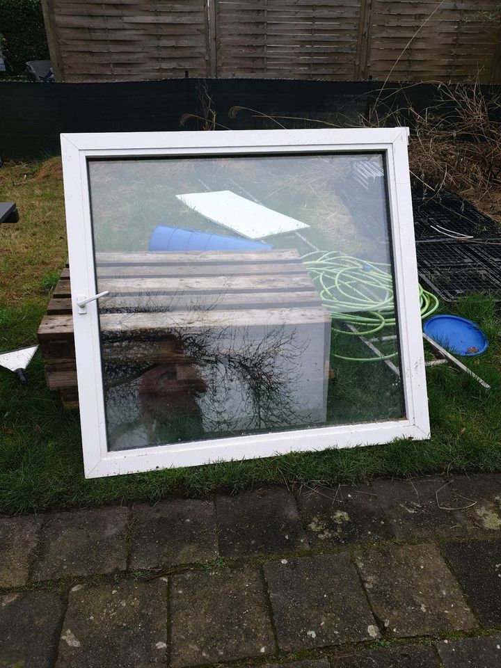 Glas Fenster in Herten