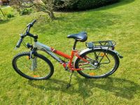 Fahrrad Diamant D200 Sachsen - Limbach-Oberfrohna Vorschau