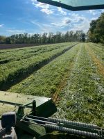 Grasmähen Dienstleistung Heu, Silage, Ackergras Niedersachsen - Stolzenau Vorschau