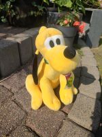 Pluto Disney Nordrhein-Westfalen - Pulheim Vorschau