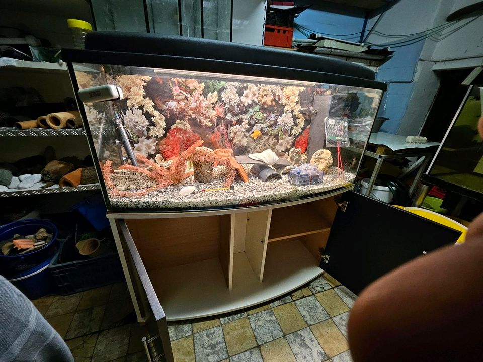 Eine schöne  Aquarium Kombi ca. 230 L. + Lieferung möglich in Dortmund
