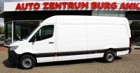 Mercedes-Benz Sprinter 316 CDI Kasten Hoch Klima Kamera Scheck Sachsen-Anhalt - Burg Vorschau