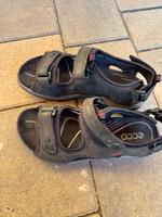 Ecco Sandalen Schuhe Damen Größe 36 Berlin - Pankow Vorschau