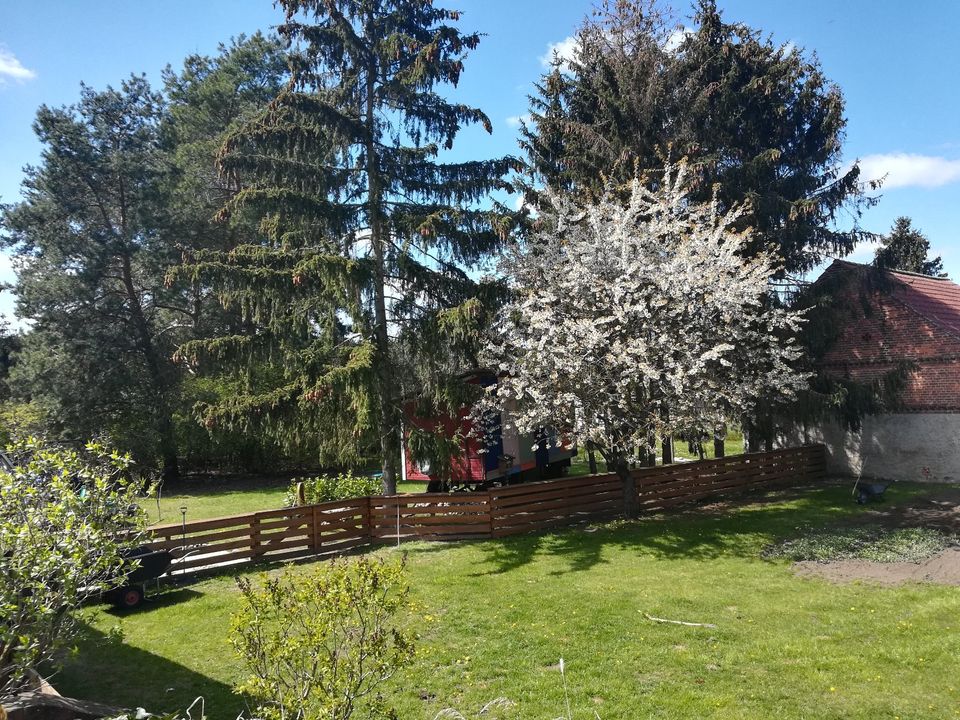 Ferien-Urlaub im "Ab-Hänger" TinyHaus auf dem Land neben Tieren in Storbeck-Frankendorf