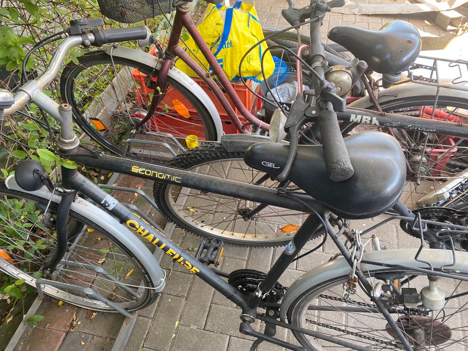 Fahrräder ⭐️ in Duisburg