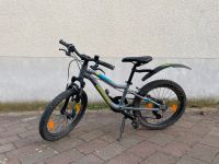 Haibike 20 Zoll Jungen-Fahrrad Rheinland-Pfalz - Gau-Odernheim Vorschau