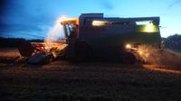 Vielseitiger, moderner, landwirtschaftlicher Betrieb sucht DICH Schleswig-Holstein - Sterup Vorschau