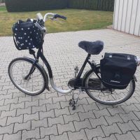 Sparta E-Bike inkl. Korb und Fahrradtaschen 26 Zoll Niedersachsen - Westoverledingen Vorschau