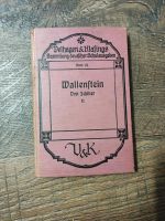 Dachbodenfund von 1923 Wallenstein von Schiller Band 24 Rarität Nordrhein-Westfalen - Bad Berleburg Vorschau