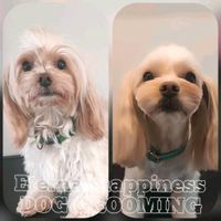 Hundefriseur Eternal happiness DOG GROOMING Rheinland-Pfalz - Unnau Vorschau