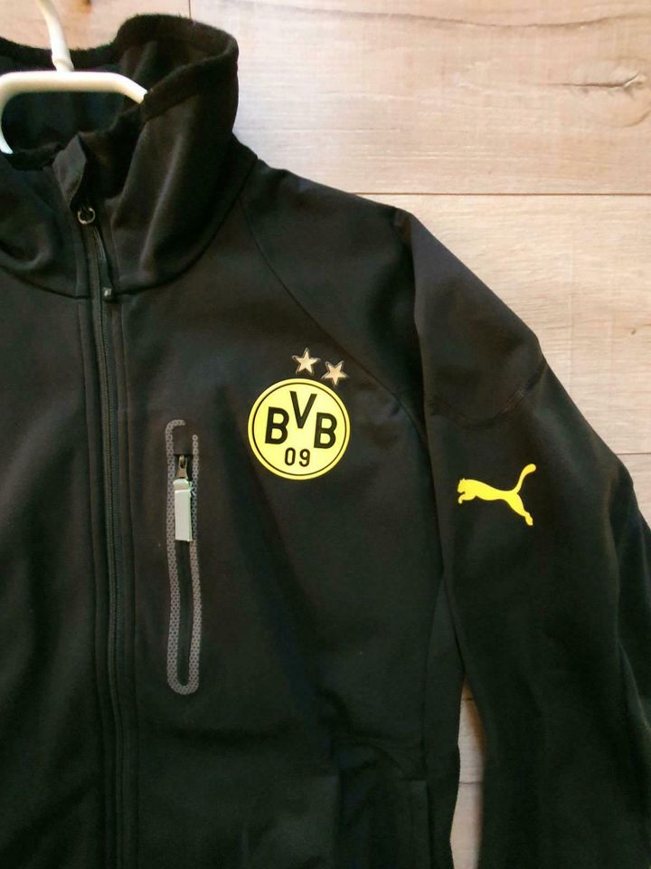 BVB 09 Borussia Dortmund Softshell Jacke Fussball in Greetsiel