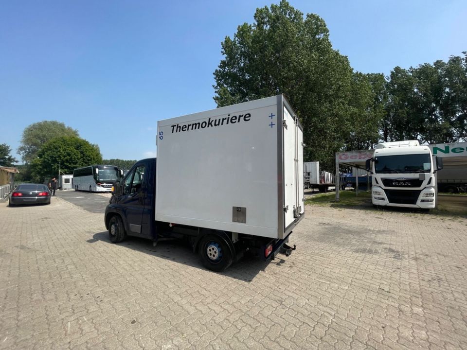 Citroën Jumper oder Relay Thermoking Tiefkühl -30 in Reinstorf