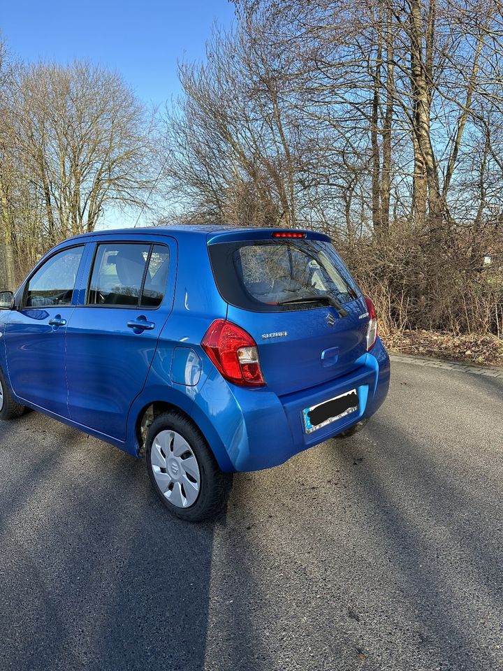 Suzuki Celerio 1.0 5D M/T Club in Lingen (Ems)