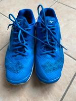 Mizuno Dynamation Groove Schuhe in Größe 42,5 Schleswig-Holstein - Norderstedt Vorschau