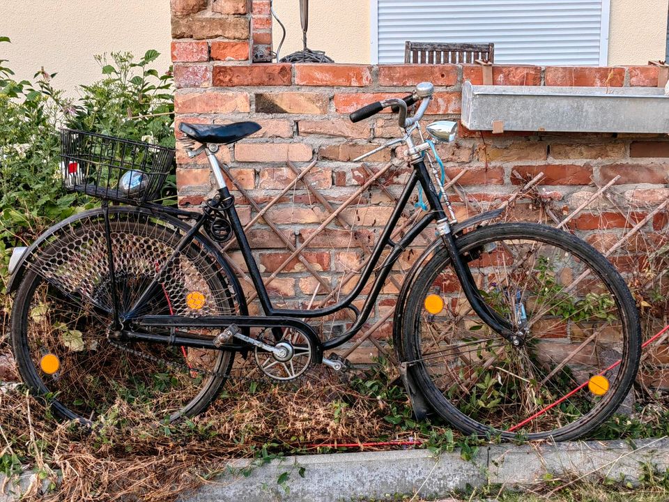 Altes Damen Rad zum fahren oder dekorieren in Neubrandenburg
