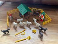 Playmobil Schäfer RARITÄT (3412) Hessen - Gießen Vorschau