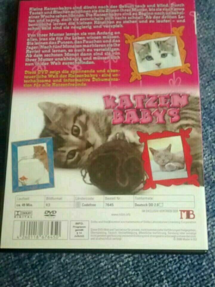 Katzen-Babys DVD in Langelsheim