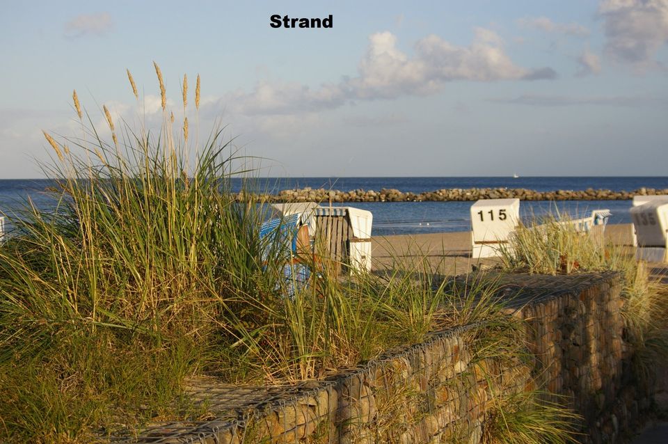 Ferienhaus Ostsee/Damp/strandnah/eingezäunt/frei bis 07.05.24 in Damp