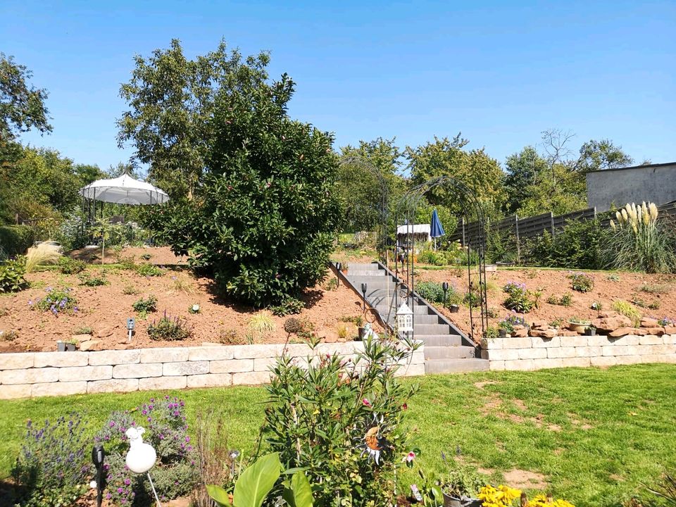 Bagger und Pflasterarbeiten Garten Landschaftsbau in Gleichen