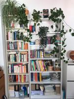 Billy Bücherregal Baden-Württemberg - Konstanz Vorschau