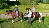 Bayerischer Wald Urlaub am Bauernhof bei Bodenmais Bayern - Teisnach Vorschau