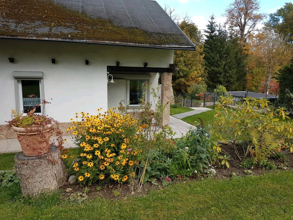 Ferienhaus im Harz Wernigerode Hund erlaubt, eingezäunt in Herdecke