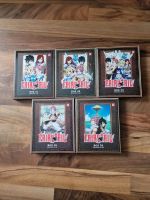 Fairytail Fairy Tail Bluray Box 1 bis 5 Niedersachsen - Tülau Vorschau