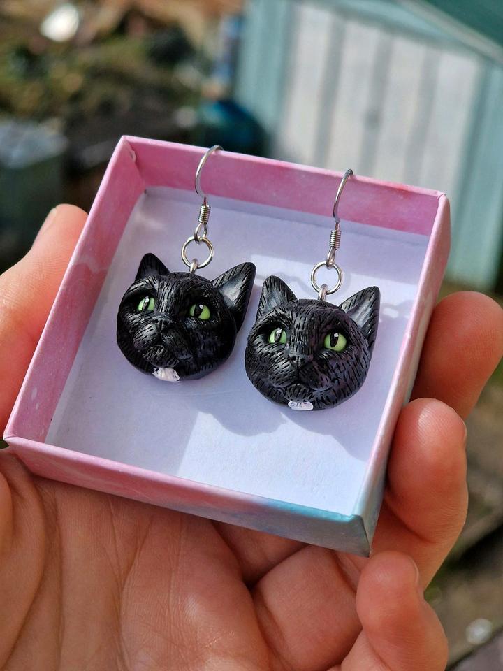 Ohrringe schwarze Katze Bombay Fell Tier Polymer Clay Rarität in Forchheim