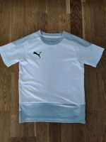 Puma T-Shirt Sport Shirt Funktionsshirt Gr. 128 Berlin - Pankow Vorschau