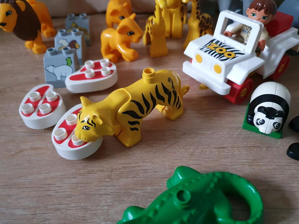 Lego Duplo Zoo 3D Berg Tier Pflegerin Elefant Tiger Giraffe Löwe in Ammersbek