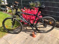 Carver Mountainbike XO-4Pro Rheinland-Pfalz - Ludwigshafen Vorschau